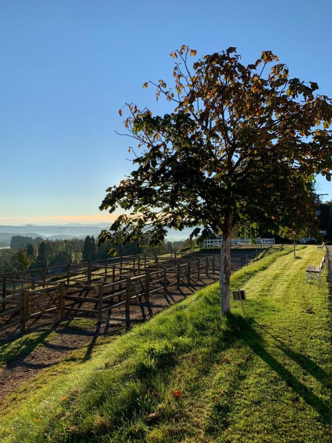 Gut Buchenhof Leilighet Buchenberg  Eksteriør bilde