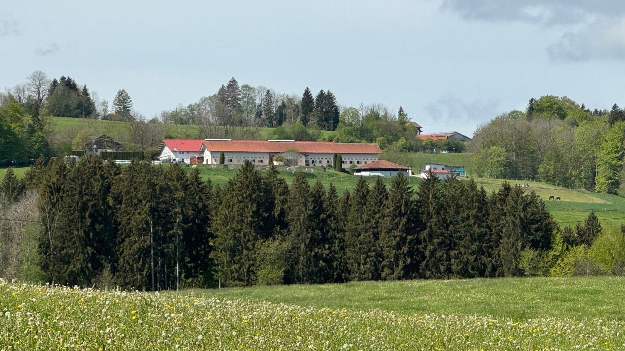 Gut Buchenhof Leilighet Buchenberg  Eksteriør bilde