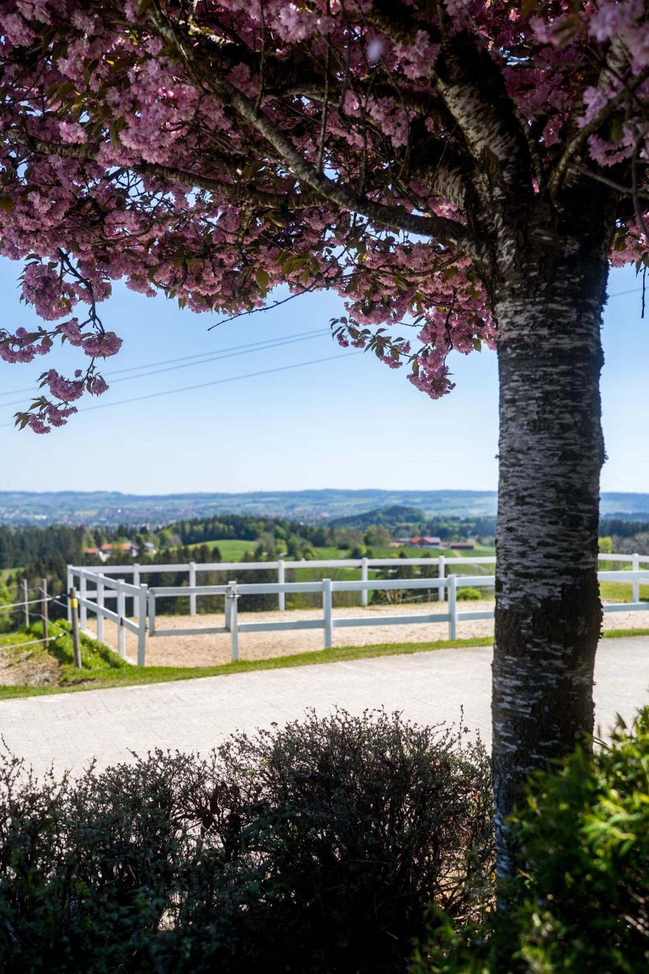 Gut Buchenhof Leilighet Buchenberg  Eksteriør bilde